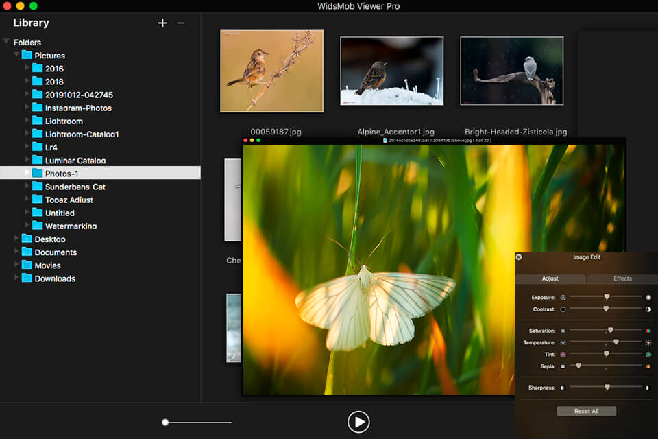 11 Best Photo Catalog Software in 2022 Free and Paid