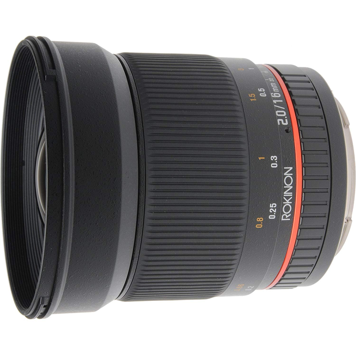 Best Canon Lens for Wedding Photography Best Canon Lens for Portraits