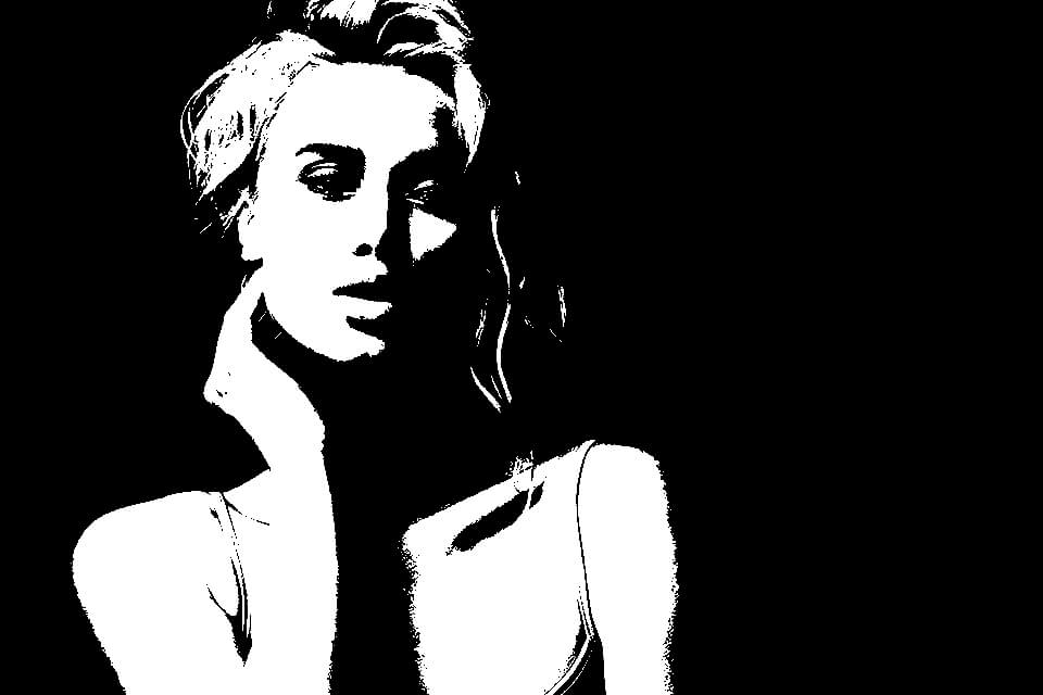 Turn Photo Into Stencil 3 Easy Methods