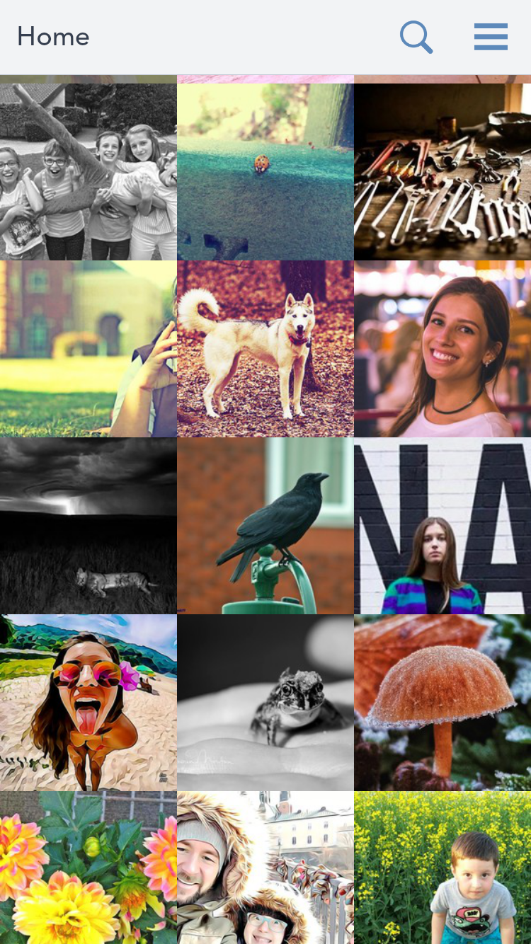 BeFunky Photo Editor Review Why Photographers Use BeFunky Online