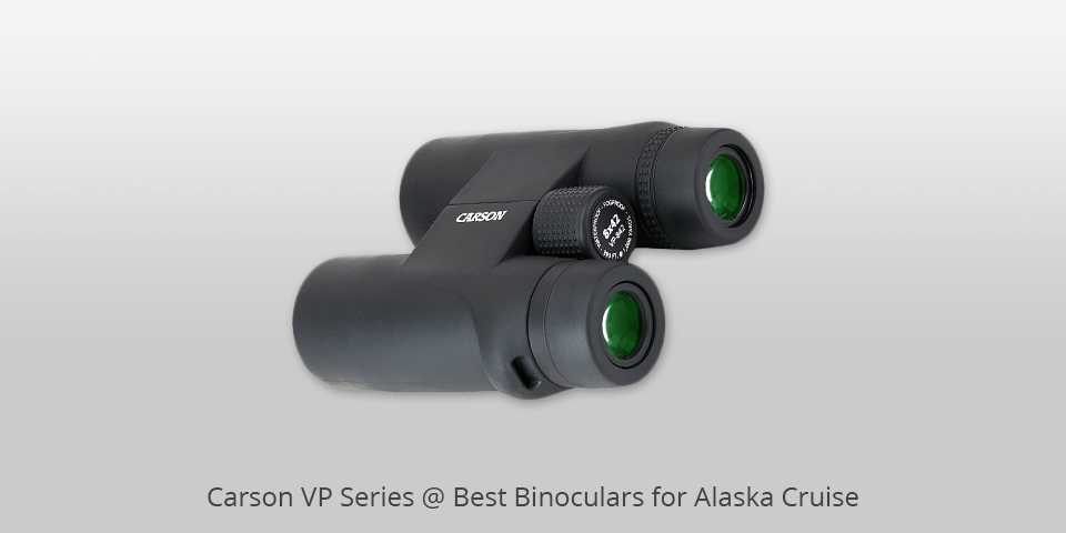 6 Best Binoculars for Alaska Cruise in 2020