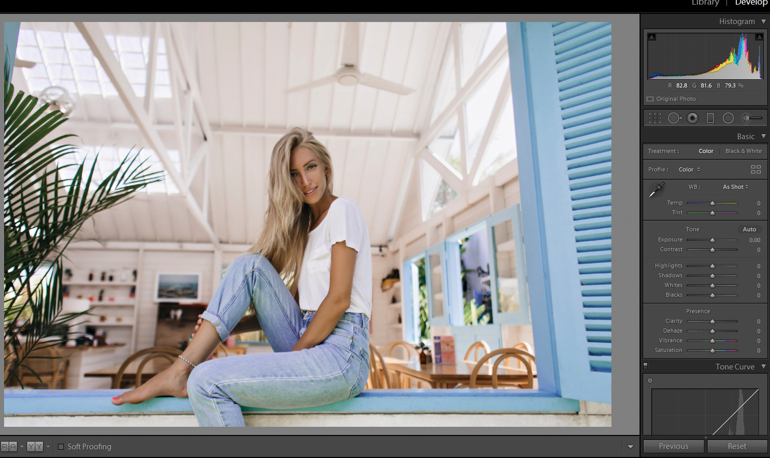 Tezza Presets 10 FREE Tezza Lightroom Presets