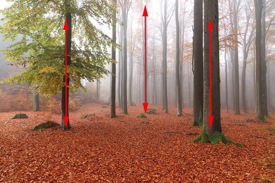 How to Use Leading Lines in Photography 18 Tips