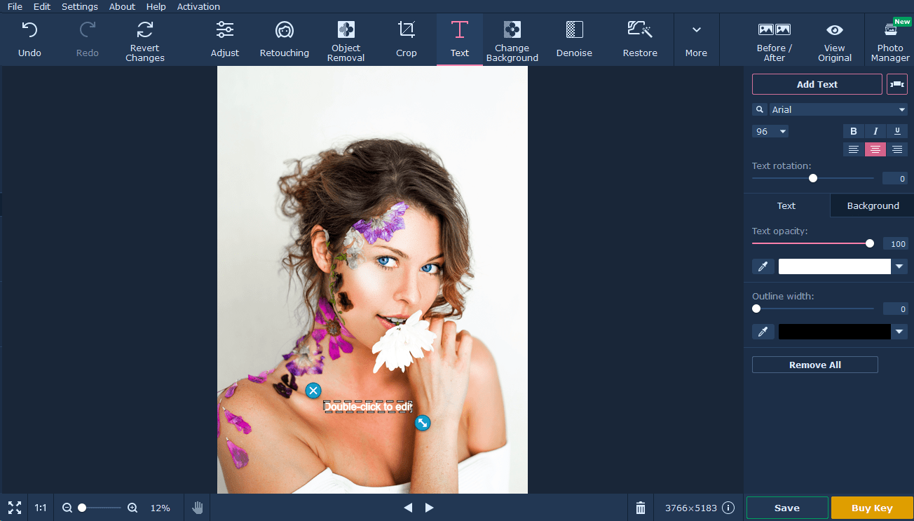 Movavi Photo Editor Review by Experts How to Use Movavi Photo Editor
