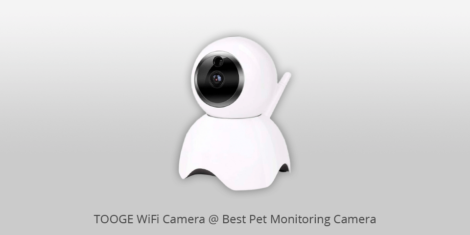 28 Best Photos Tooge Pet Camera App Download / Amazon Com Tooge Pet Dog