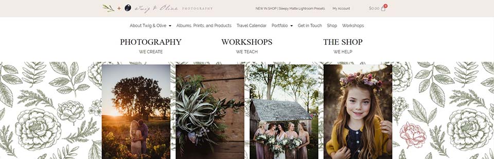 Twig and Olive Presets Overview Download Free Twig and Olive Presets