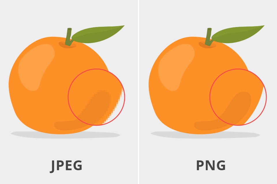 Difference Between JPEG and PNG Which Should You Use?