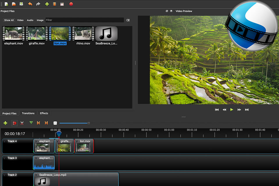OpenShot vs DaVinci Resolve Which Software Is Better?