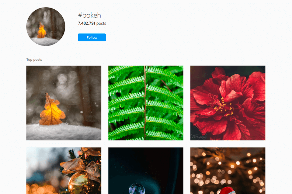 Macro Flower Photography Hashtags Best Flower Site