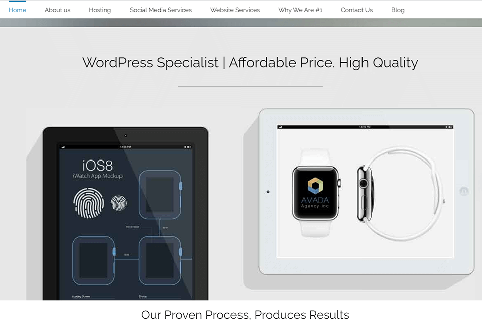 VisaliaSEO WordPress Development Agency Review 2024