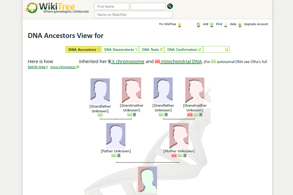 5 Best Free Genealogy Software in 2024
