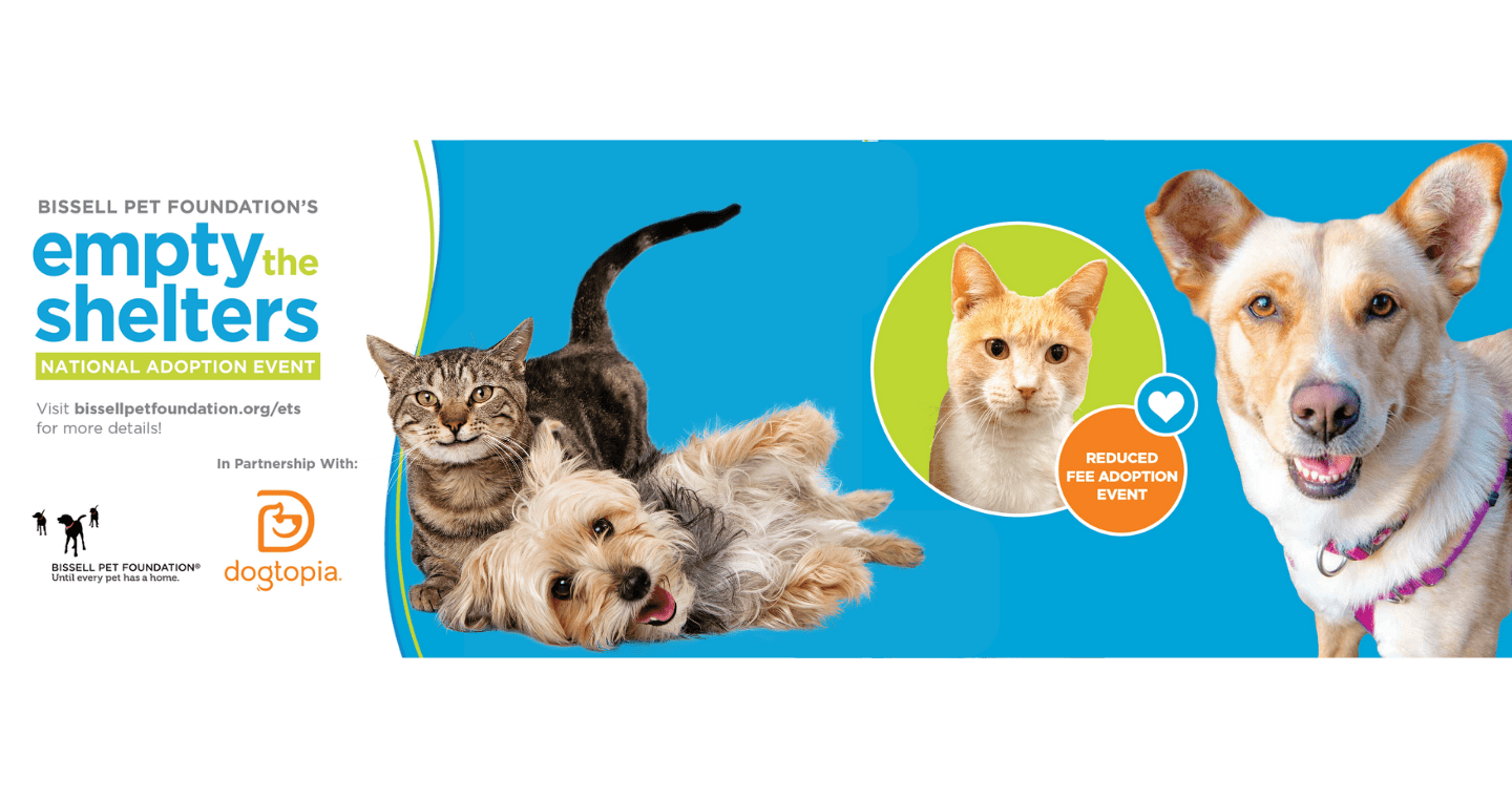 Fix West Texas SSL spay neuter stray dog cat shot vaccination home