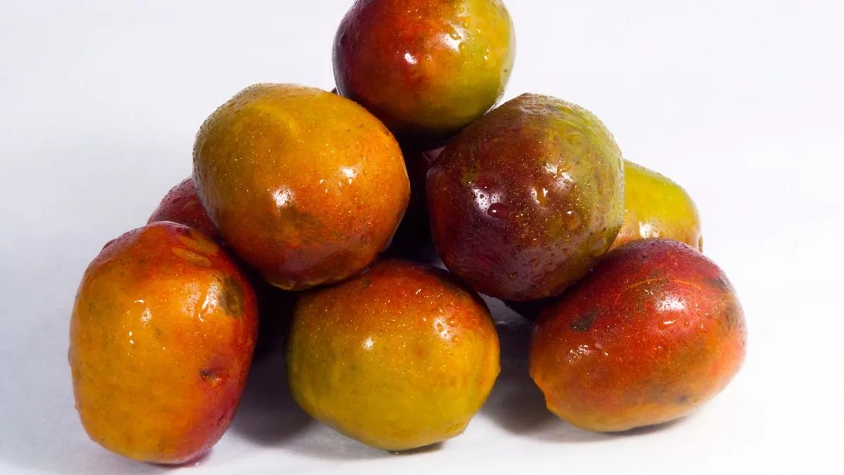 5 Health Benefits of Adding Jocote to Your Diet