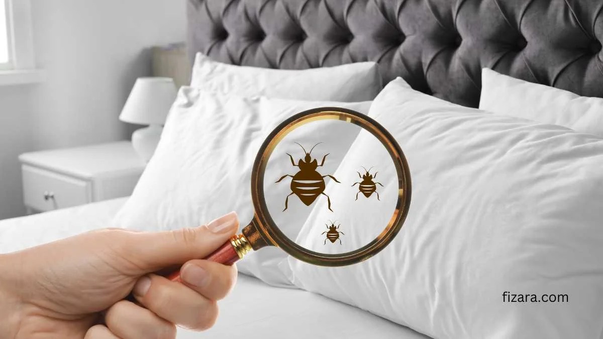 Meet the Super Sniffer 5 Advantages of K9 Bed Bug Detection