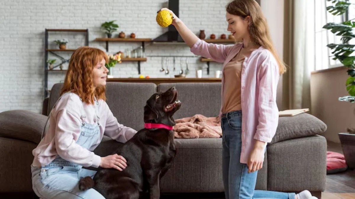 How to Maintain a PetFriendly and Clean Home