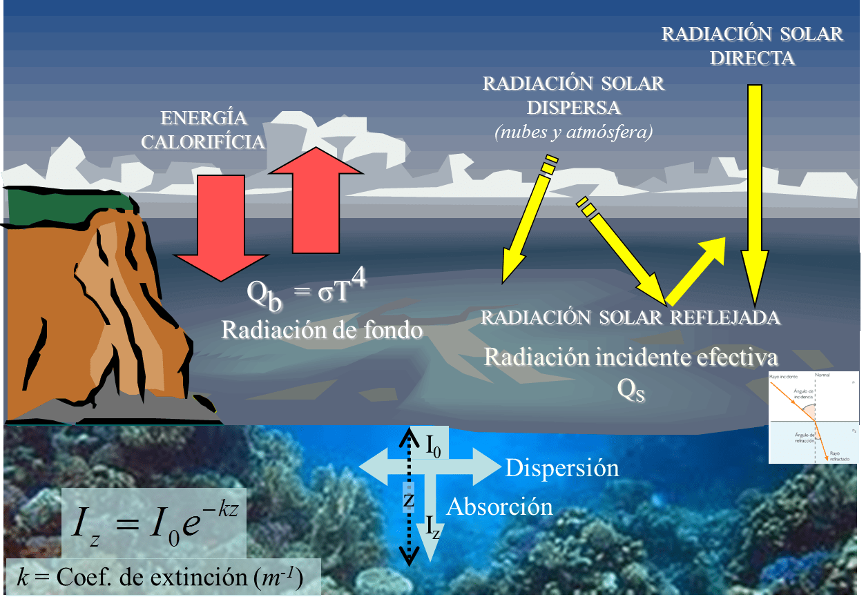 6. Absorción y pérdida de energía térmica en el mar