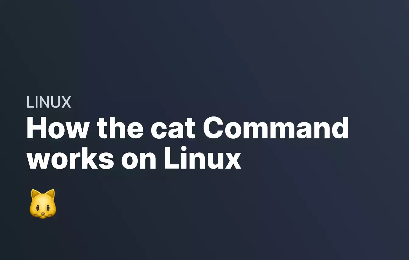 How the cat Command works on Linux