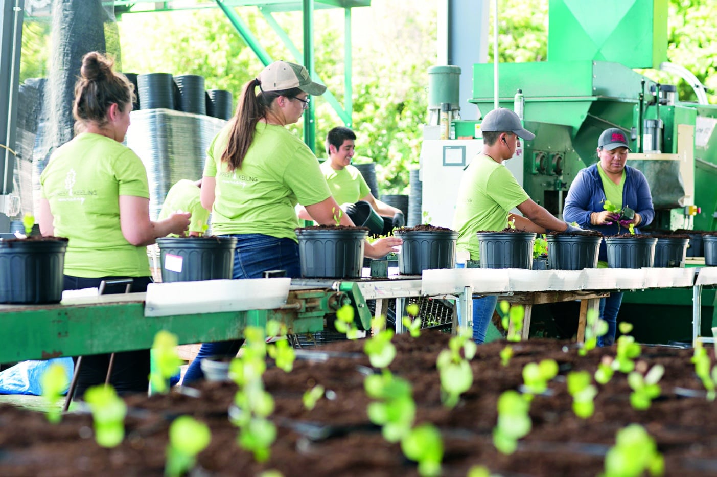 News Forrest Keeling Nursery