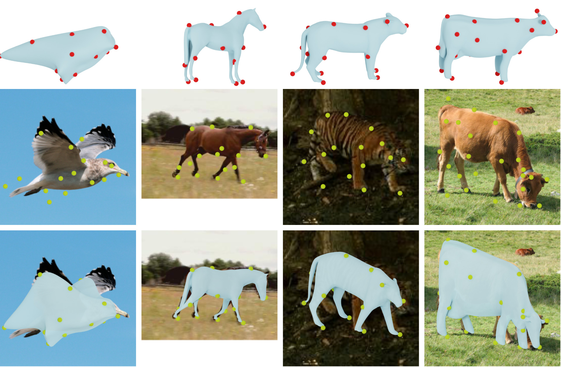 Learning monocular 3D reconstruction of articulated categories from motion
