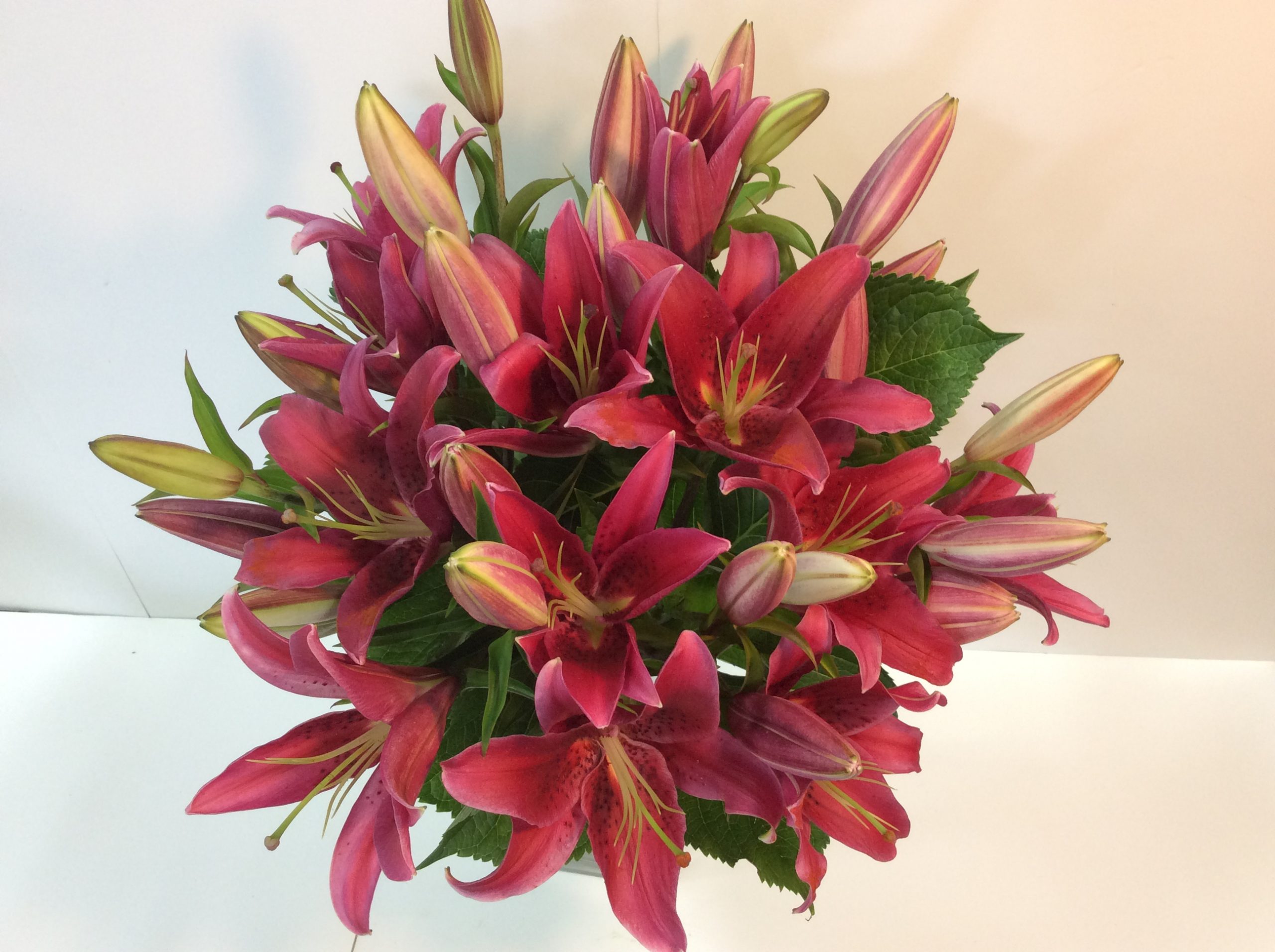 Pink Lilly bouquet Flower Wholesalers Takapuna