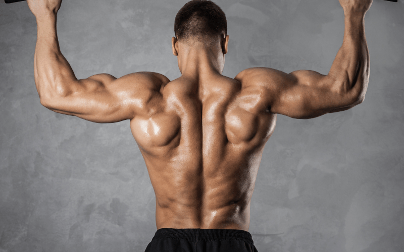 How To Do V Bar Pull Up Properly Flab Fix