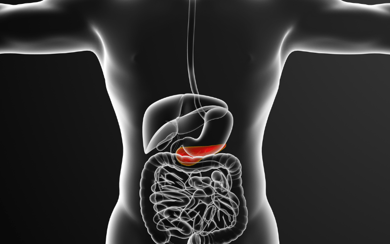 10 Crazy Bile Salts Side Effects Flab Fix