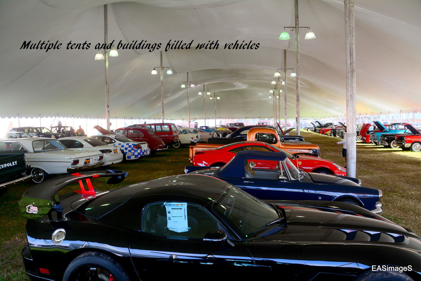 Kissimmee Mecum Auction Event Coverage FLA Car Shows