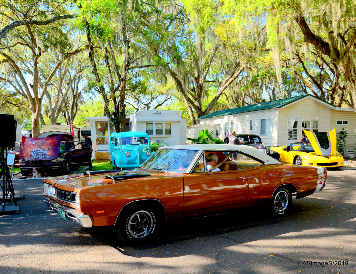 Quail Run RV Park Show FLA Car Shows