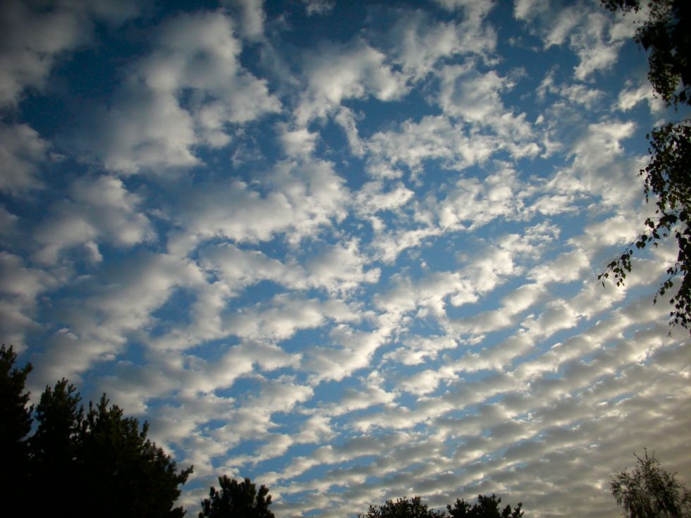 Altocumulus