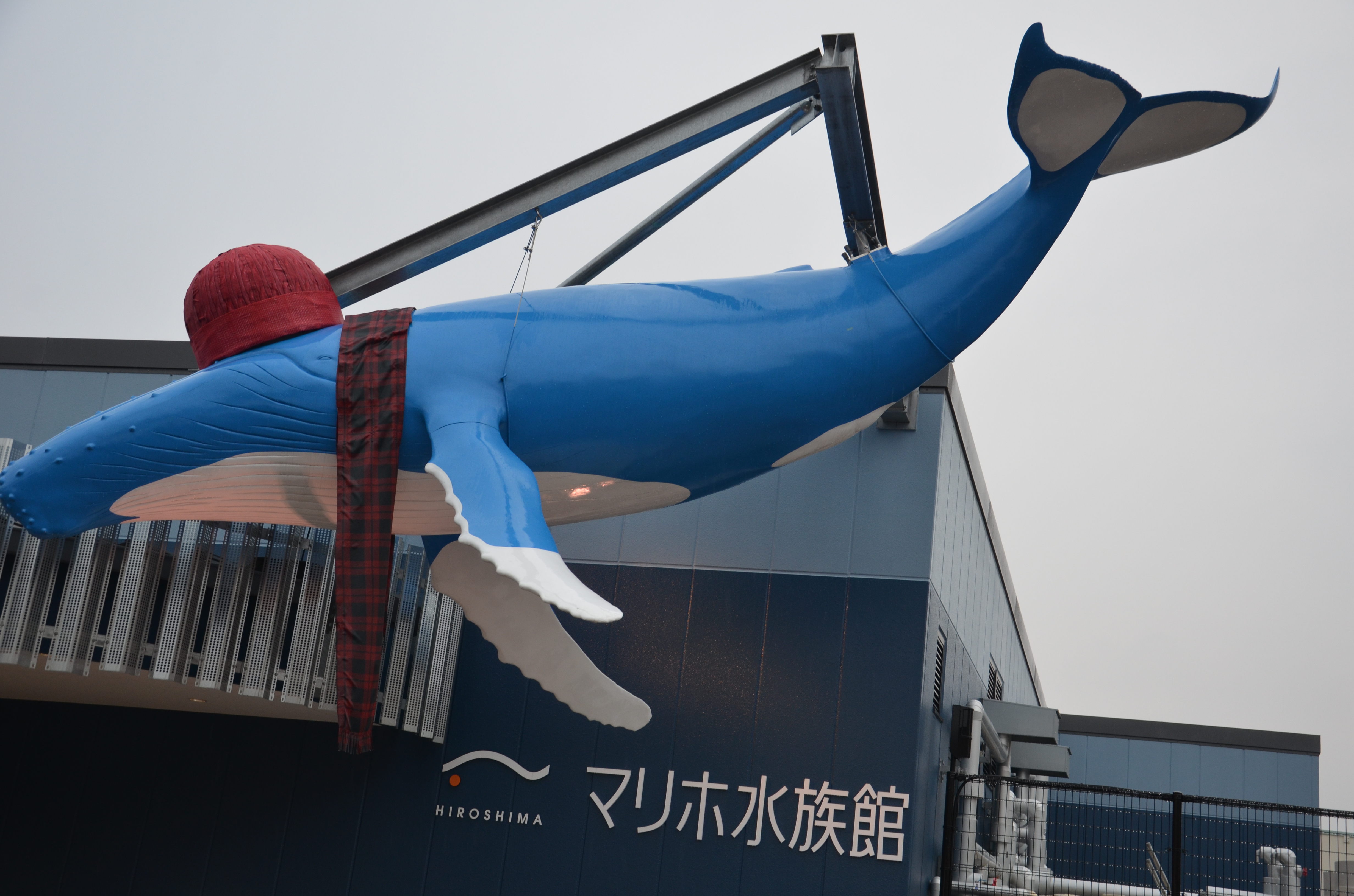 マリホ水族館でインスタ映えバレンタイン！ FLAG!web 広島の"今"を発信するローカルマガジン