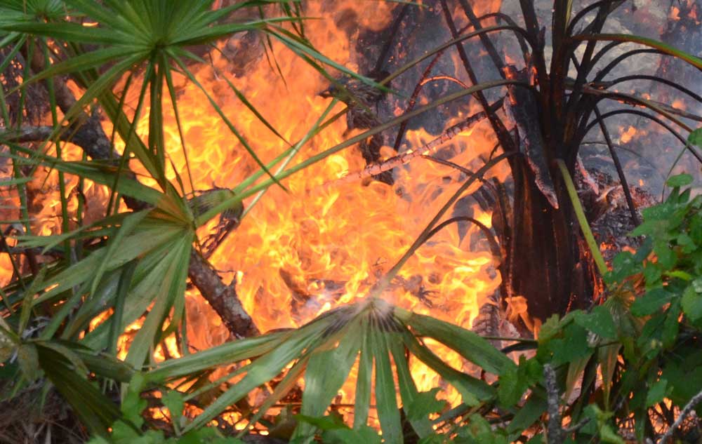 Open Burning Regulations Adopted in Bunnell FlaglerLive