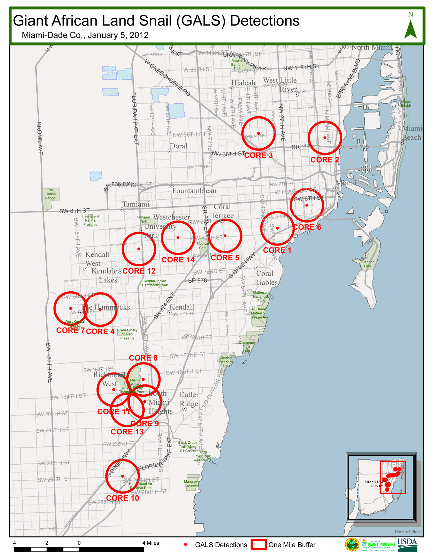 Invasion of the Giant African Snail Florida's Latest Slimy Bane