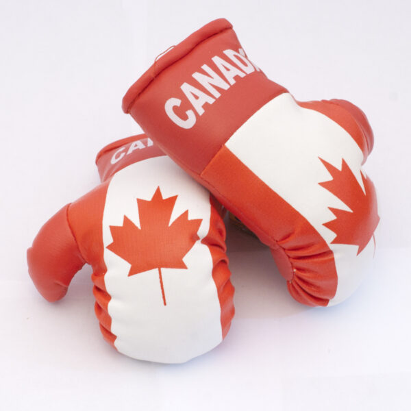 Canada Boxing Gloves Flag Matrix