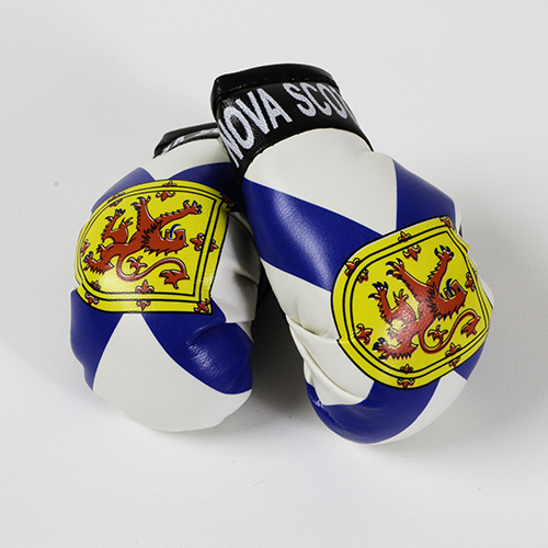 Nova Scotia Boxing Gloves Flag Matrix