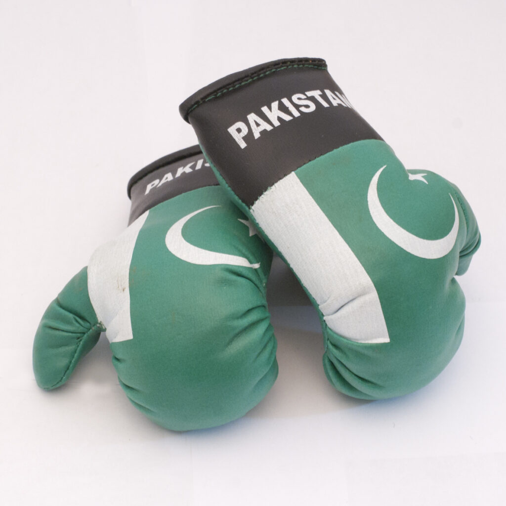 Pakistan Boxing Gloves Flag Matrix