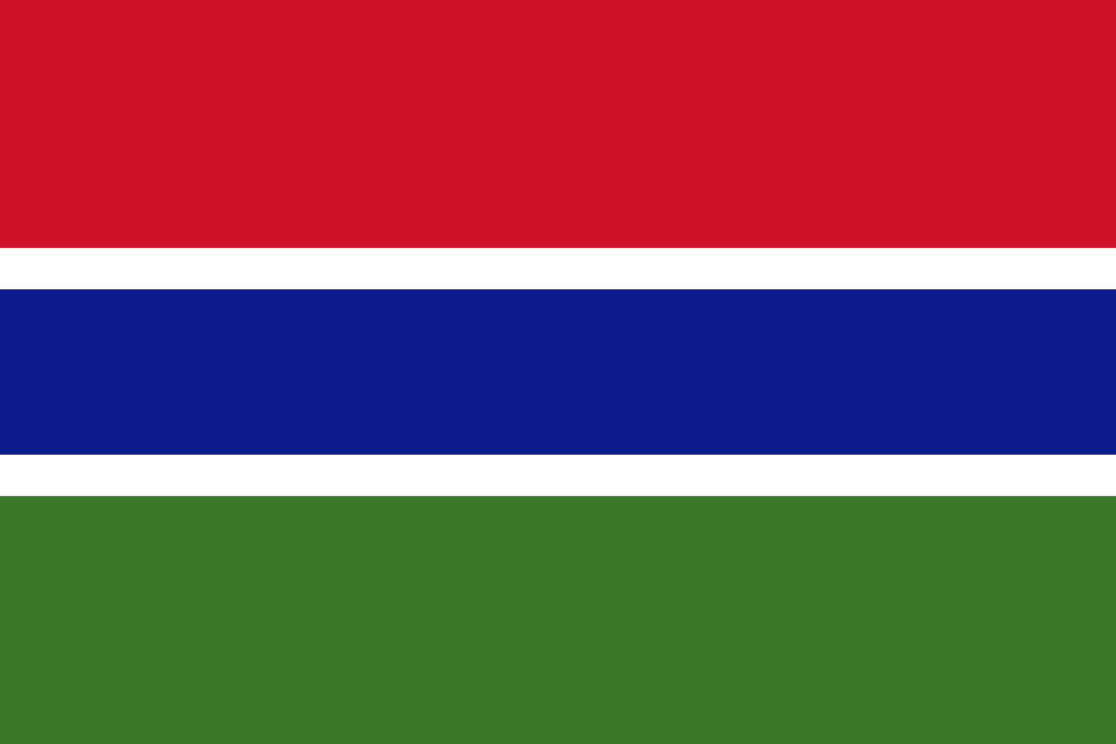 Flag of Gambia 🇬🇲, image & brief history of the flag