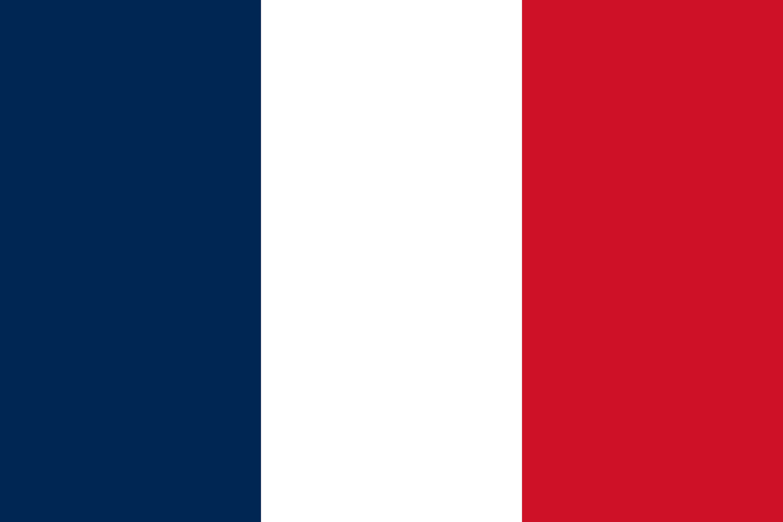Flag of Saint Martin 🇲🇫