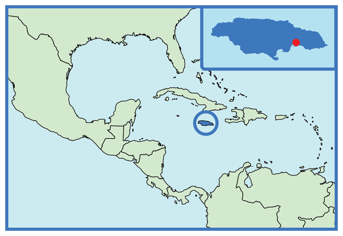 Flag of Jamaica Flagsbook