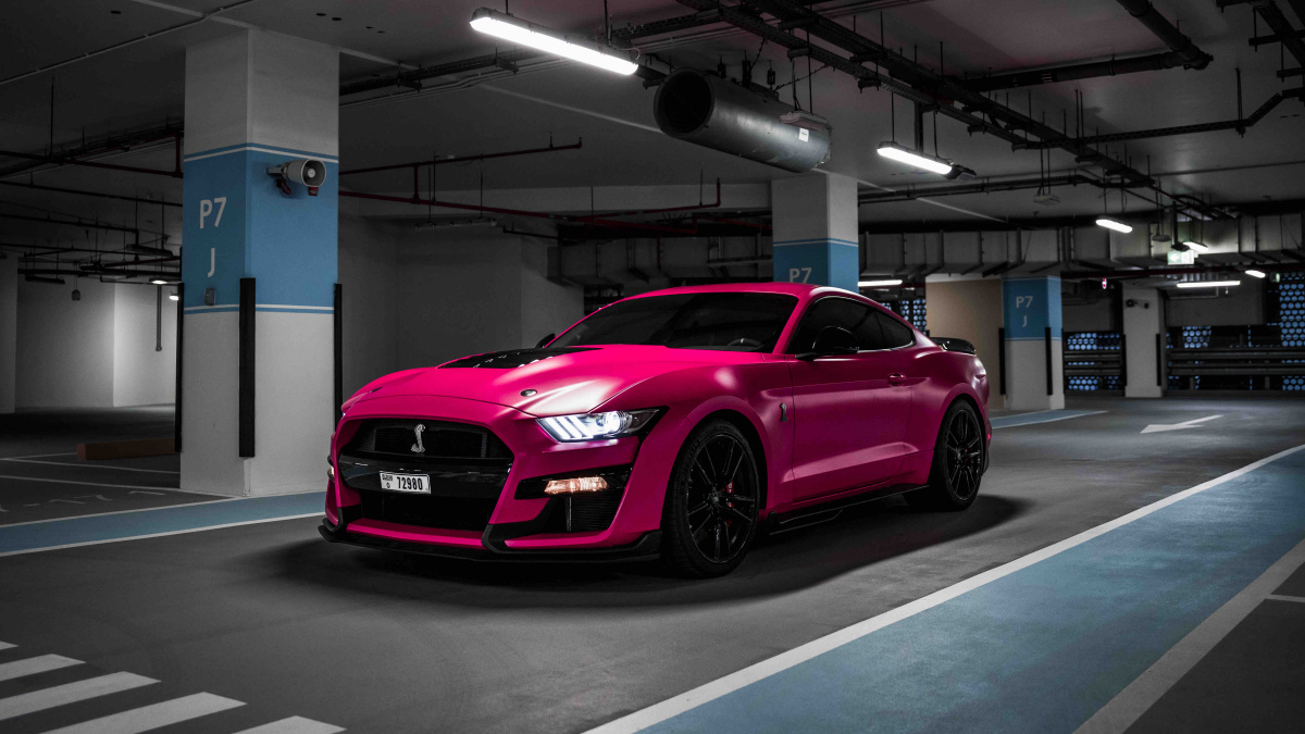 Ford Mustang Shelby GT500 Flagship Rentals