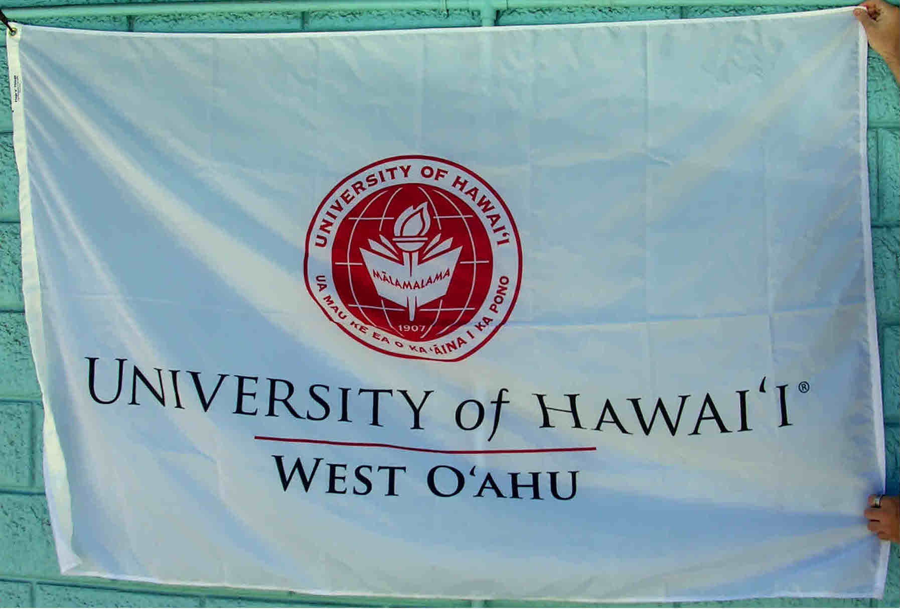 Services Flags N' ThingsFlags N' Things