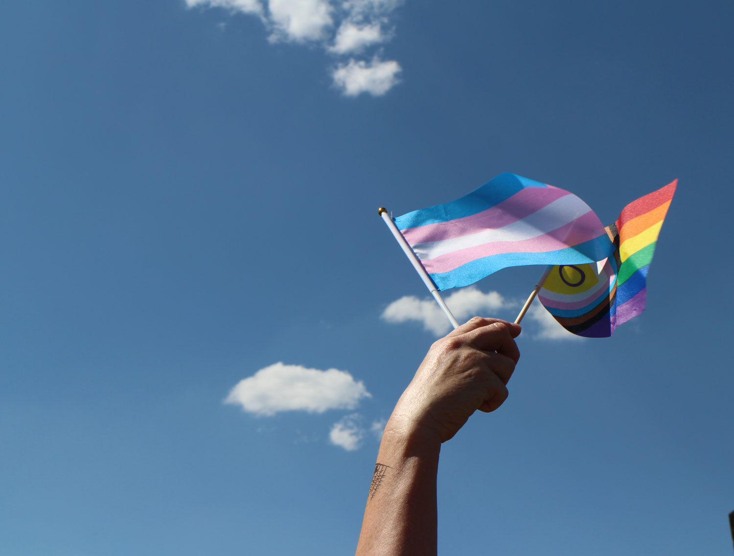 Celebrating Unity and Challenges Flagstaff Pride