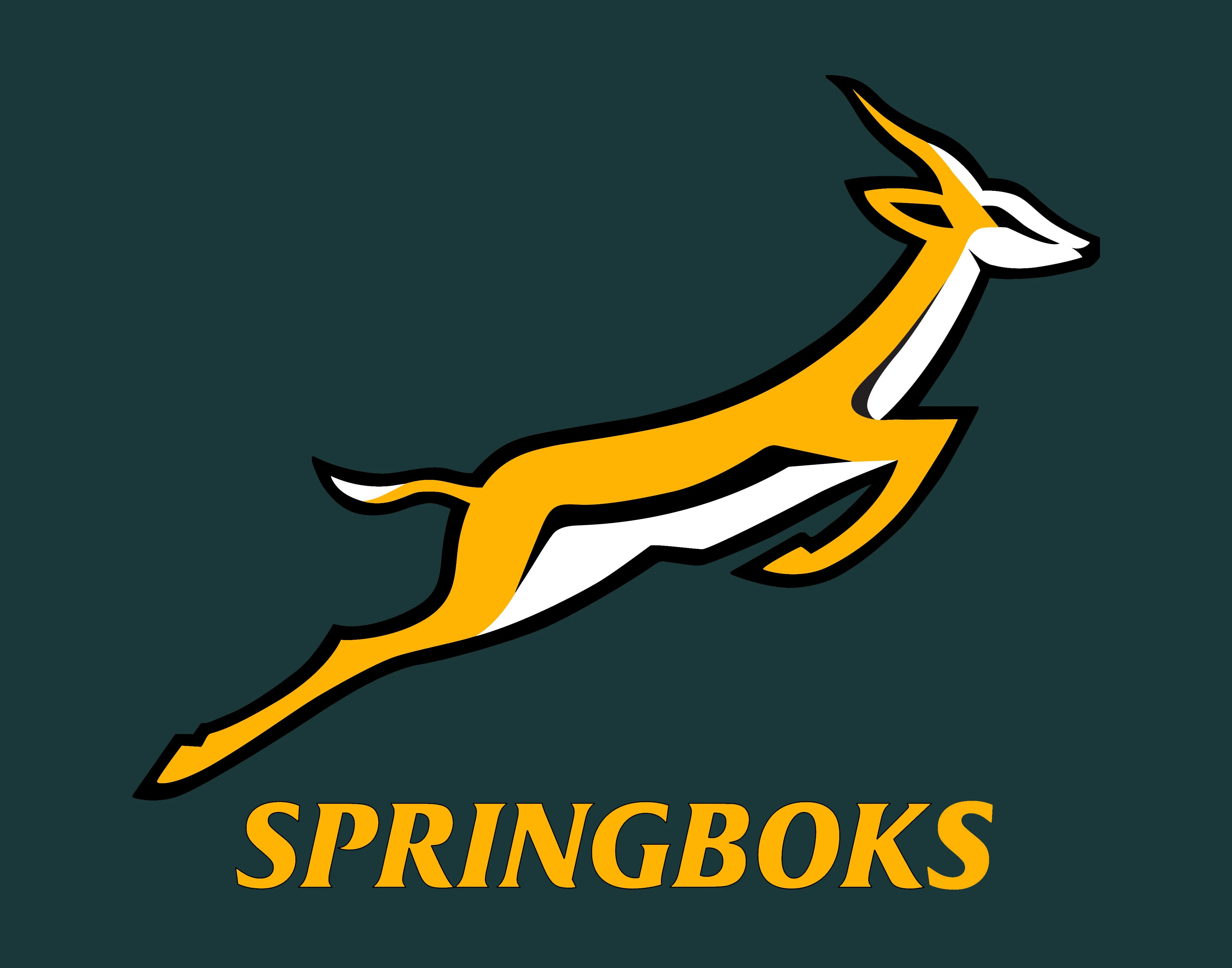 Quality affordable UK made custom World flags. Springboks flag. Flag