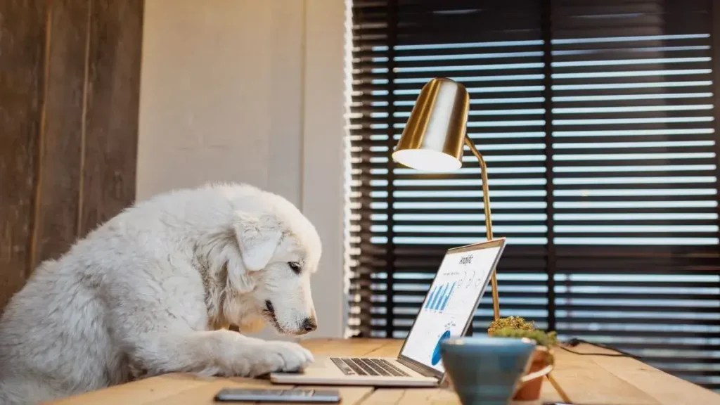 400+ Top Dog Hashtags for Instagram, TikTok, FB, YouTube 🐶