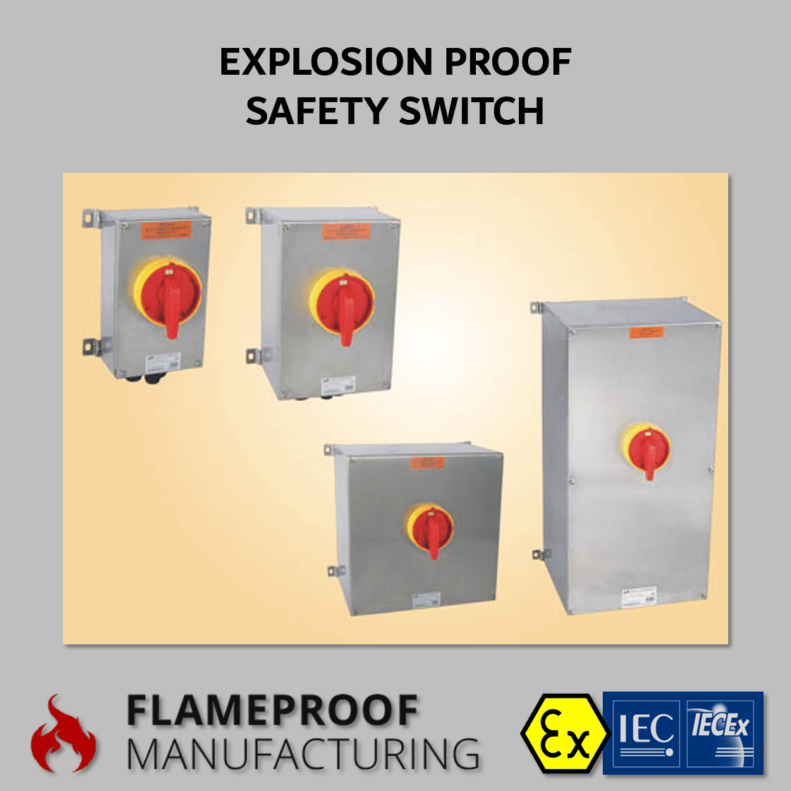 Explosion Proof Safety Switch CZ1333 Flameproof Manufacturing