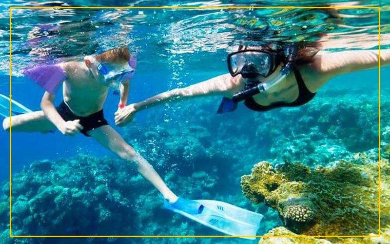 Snorkeling Flamingo Adventures Tours