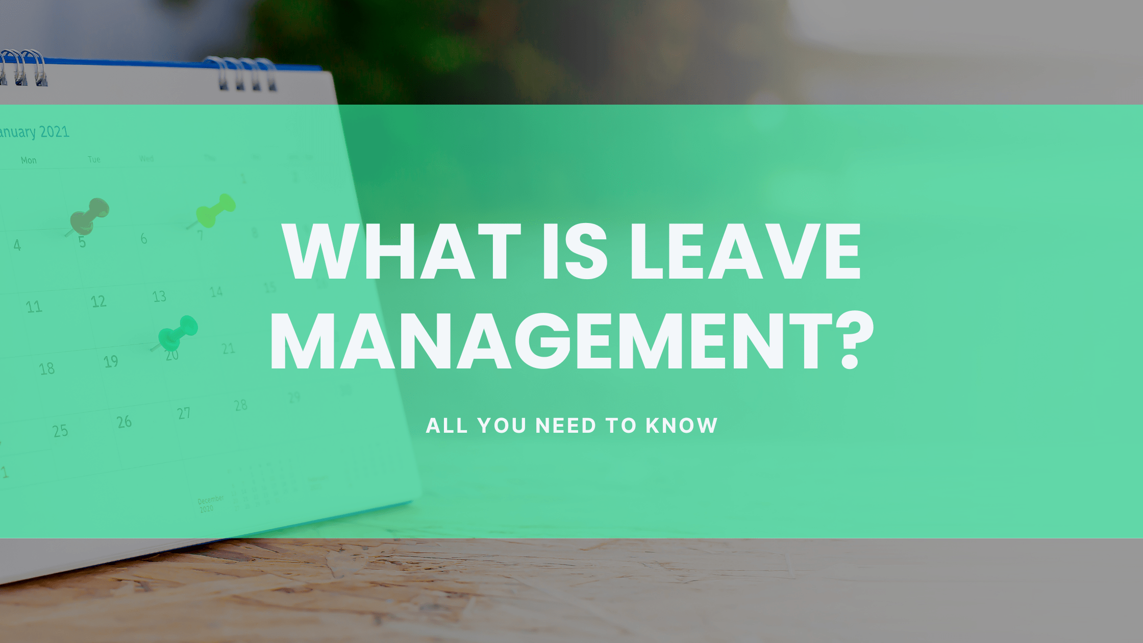 What is Leave Management, and Why Is It Important? Flamingo