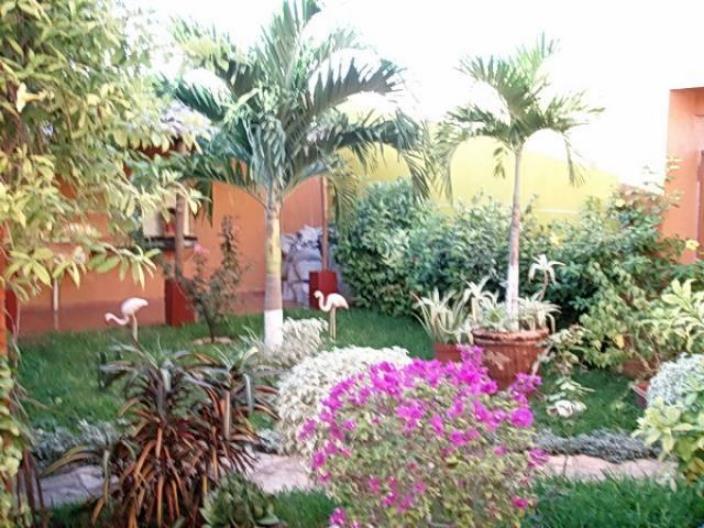 NicteHa Flamingo Coast Real Estate