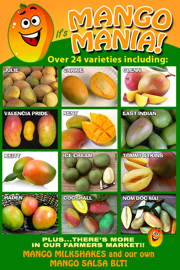 Specials VIP Savings Flamingo Road Nursery Davie, FL Flamingo