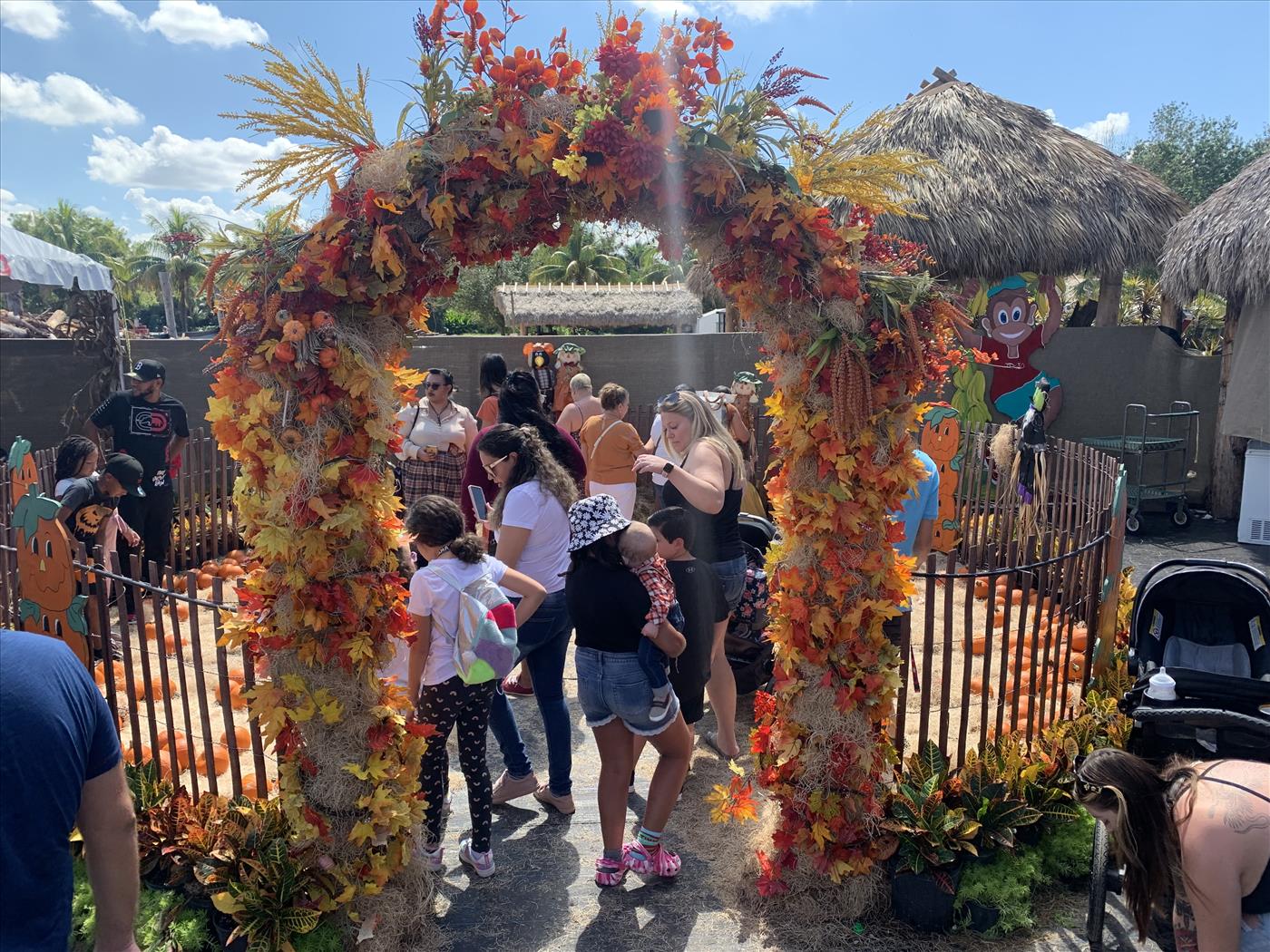 Fall Festival Information Flamingo Road Nursery Davie, FL