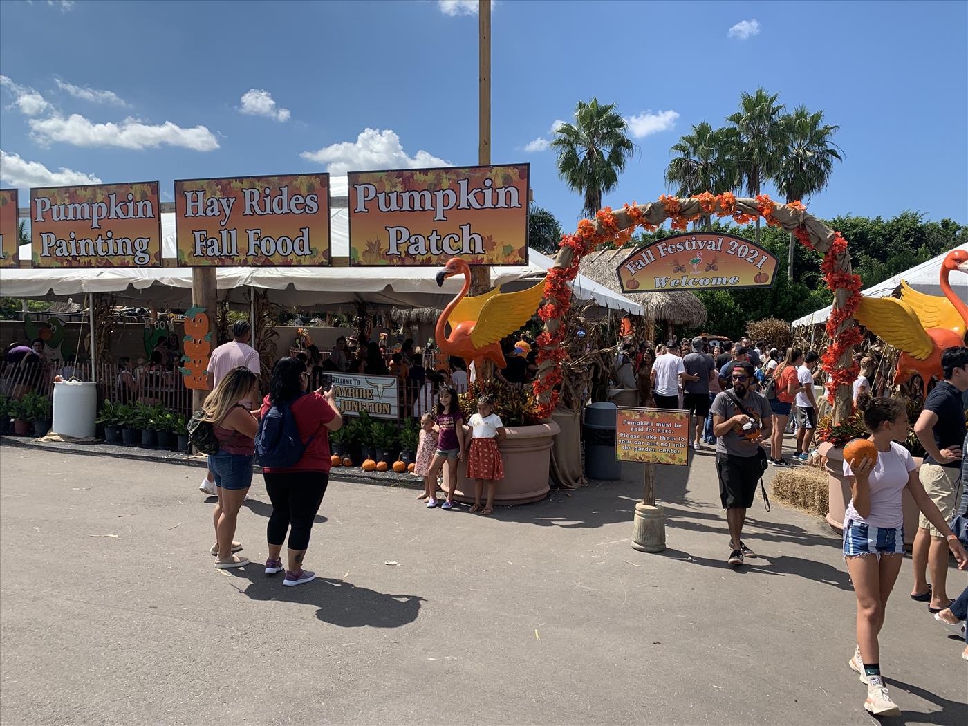Fall Festival Information Flamingo Road Nursery Davie, FL
